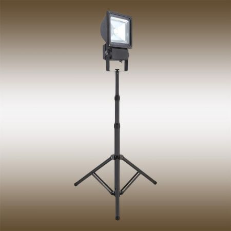 Прожектор светодиодный Globo Projecteur (Проджецтеур) 34117AS