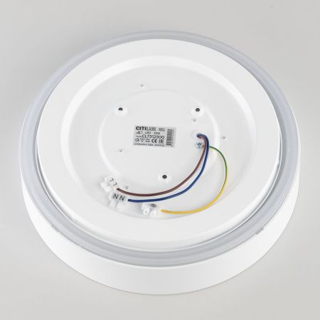 Светильник потолочный музыкальный Citilux Boss (Босс) CL751250G