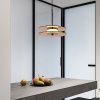 Светильник подвесной Lightera Echuka (Ецхука) LE142L-38BR