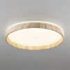 Светильник потолочный музыкальный Citilux Enzo (Ензо) CL753452G