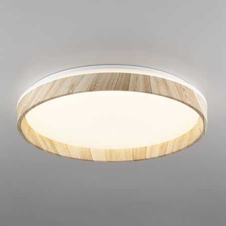 Светильник потолочный музыкальный Citilux Enzo (Ензо) CL753452G