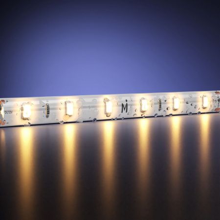 Светодиодная лента Maytoni Led Strip 201012