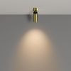Светильник потолочный Maytoni Technical Focus Led (Фокус) C055CL-L12W3K-W-BS