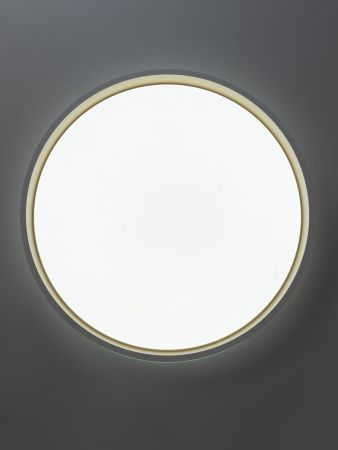 Светильник потолочный музыкальный Citilux Enzo (Ензо) CL753450G