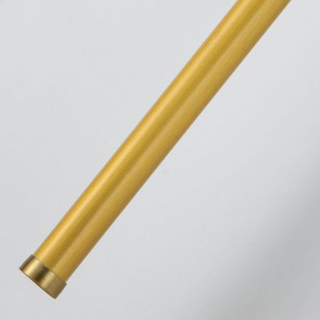 Светильник настенный Favourite Reed (Реед) 3001-2W