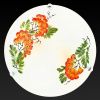 Светильник настенный Toplight Pirolf (Пиролф) TL9351Y-02WH