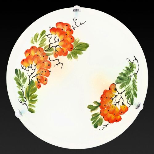 Светильник настенный Toplight Pirolf (Пиролф) TL9351Y-02WH - фото 3