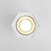 Светильник накладной Elektrostandard 25036-LED 4690389176487