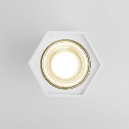 Светильник накладной Elektrostandard 25036-LED 4690389176487