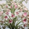 Люстра подвесная Abrasax Suzanne (Сузанне) SD0877/8