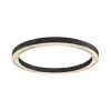 Светильник потолочный Delight Collection C0852-670A black