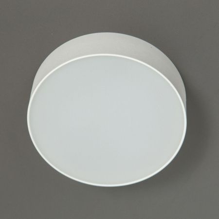 Светильник накладной Citilux Тао CL712120N