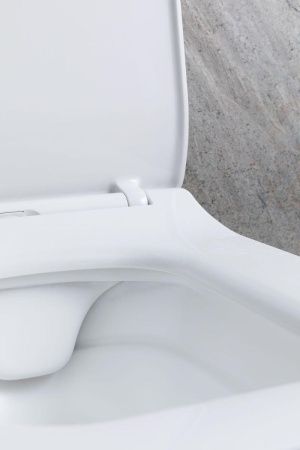 Чаша унитаза подвесная Allen Brau Liberty 4.33007.21 цвет белый без сиденья безободковая каскадный смыв