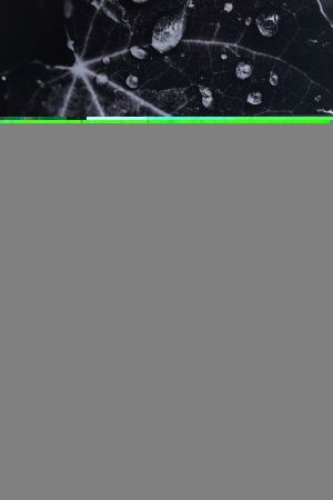 Раковина керамическая Allen Brau Fantasy 4.11022.21 60х40 накладная цвет белый без отверстий под смеситель