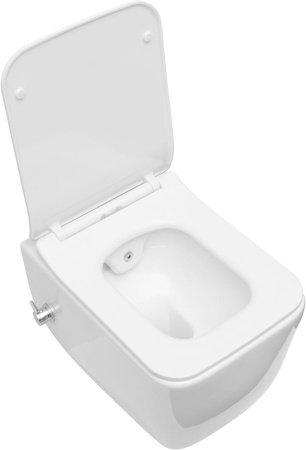 Чаша унитаза подвесная Allen Brau Liberty 4.33009.20 цвет белый без сиденья безободковая каскадный смыв