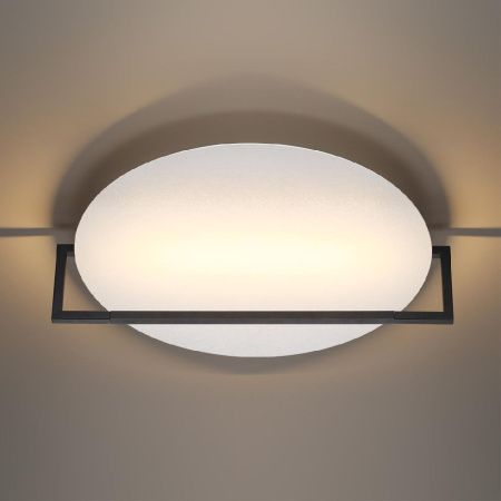 Настенно-потолочный светильник Odeon Light Lunar (Лунар) 7015/20WL