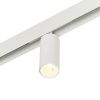 Трековый магнитный светильник Myfar Ray (Раы) MT0220-12W3K-W