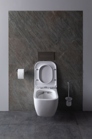 Чаша унитаза подвесная Allen Brau Infinity 4.21004.20 цвет белый без сиденья безободковая каскадный смыв