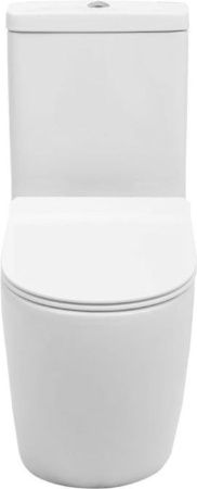 Чаша унитаза напольная Aquanet Cetus CETUS-C1 цвет белый без бачка с сиденьем микролифт безободковая каскадный смыв