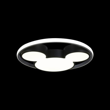 Светильник потолочный Loft It Mike 10165