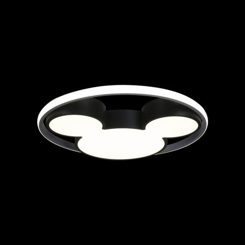 Светильник потолочный Loft It Mike 10165 - фото 4