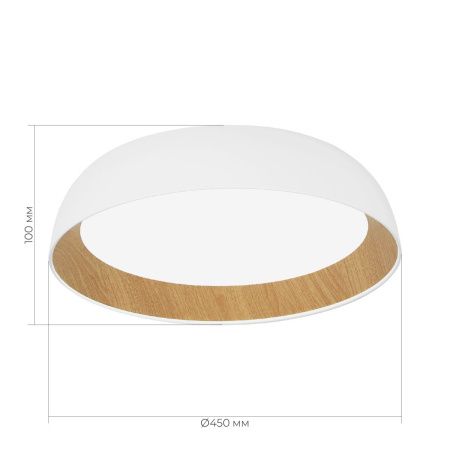 Светильник потолочный Evoluce Muse (Мусе) SLE1812-502-01