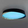 Светильник потолочный музыкальный Citilux Bonny (Бонны) CL754351G