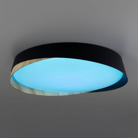 Светильник потолочный музыкальный Citilux Bonny (Бонны) CL754351G