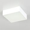 Светильник накладной Citilux Тао CL712X120N