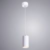 Светильник подвесной Arte Lamp Canopus (Цанопус) A1516SP-1WH