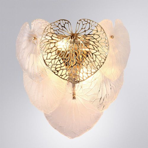 Светильник настенный Arte Lamp Kapri (Капри) A4078AP-2GO - фото 2