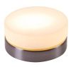 Светильник потолочный Globo Opal (Опал) 48400