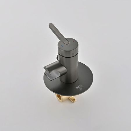 Гигиенический душ со смесителем Rose R235T оружейная сталь
