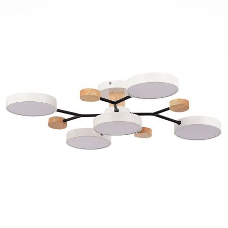 Люстра на штанге Evoluce Faema (Фаема) SLE6006-502-05