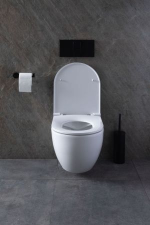 Комплект унитаз с инсталляцией и клавишей смыва Allen Brau Reality 00316510