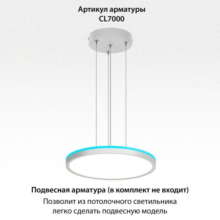 Светильник потолочный Citilux Norma (Норма) CL749320