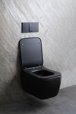 Чаша унитаза подвесная Allen Brau Liberty 4.33007.31 цвет черный без сиденья безободковая каскадный смыв