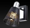 Спот Toplight Susan (Сусан) TL3760Y-01BC