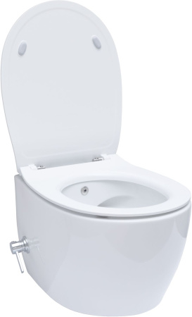 Чаша унитаза подвесная Allen Brau Fantasy 4.11HC1.20 цвет белый без сиденья безободковая каскадный смыв