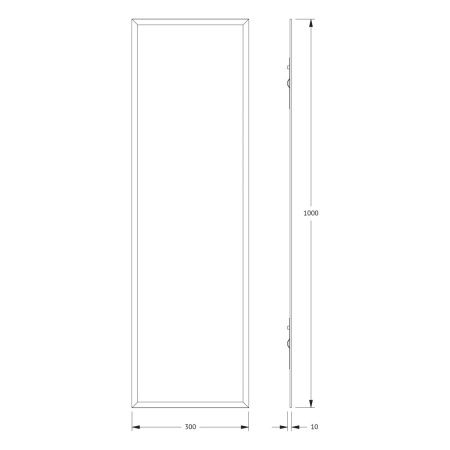 Зеркало Evoform Comfort BY 0929 30х100 подвесное