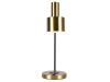 Настольная лампа Zortes DeskLight (ДескЛигхт) ZRS.1066.03