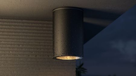 Уличный потолочный светодиодный светильник Maytoni Outdoor Roll O307CL-01B