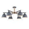 Люстра на штанге Lumion Colange (Цоланге) 8096/6C