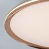 Светильник потолочный LED4U L3020-600 GD