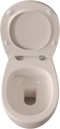 Чаша унитаза подвесная Allen Brau Fantasy 4.11004.IV цвет бежевый без сиденья безободковая каскадный смыв