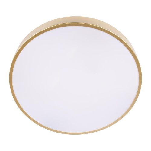 Светильник потолочный Loft It Flims 10228/A - фото 5