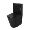 Унитаз напольный с бачком Grossman Color GR-4480BS черный с сиденьем микролифт безободковый каскадный смыв