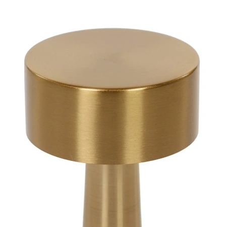 Настольная лампа Cosmo Stalk CT0013