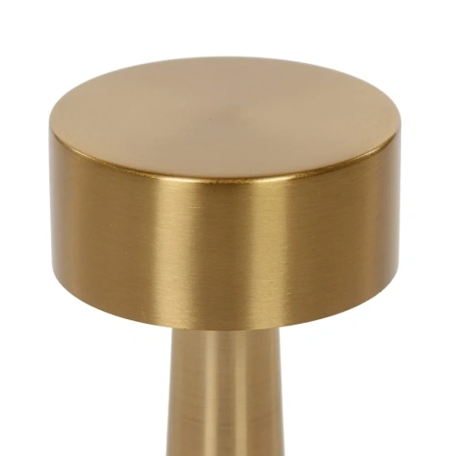 Светильник настольный Cosmo Stalk CT0013 - фото 5