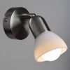 Спот Arte Lamp Falena (Фалена) A3115AP-1SS